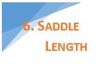 Picture for category Step 6: Length of Saddle